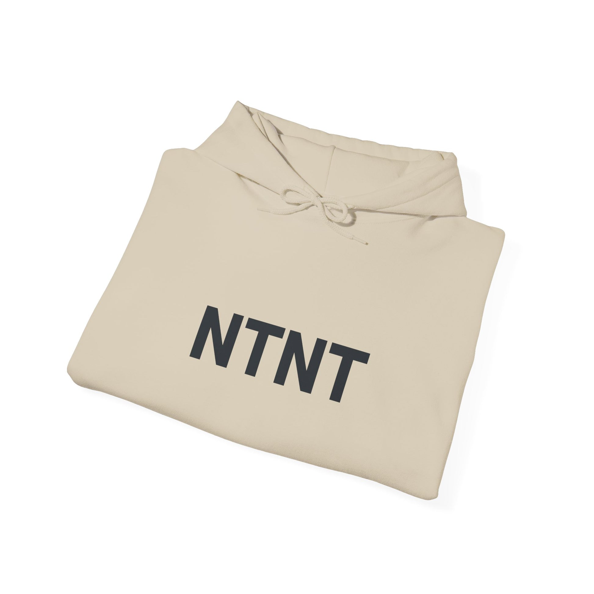 NTNT "TRAIN WITH" HOODIE