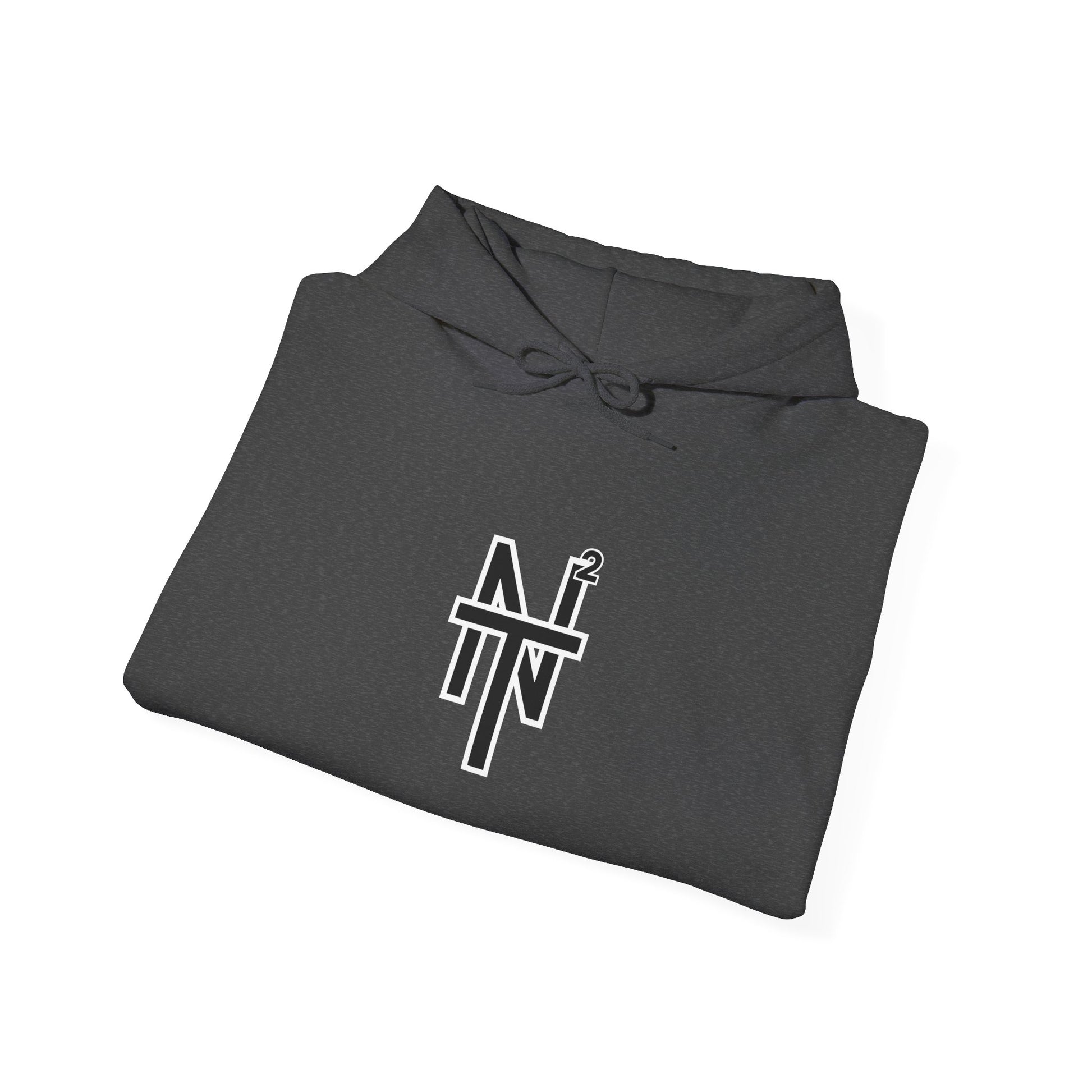 NT2 Hoodie