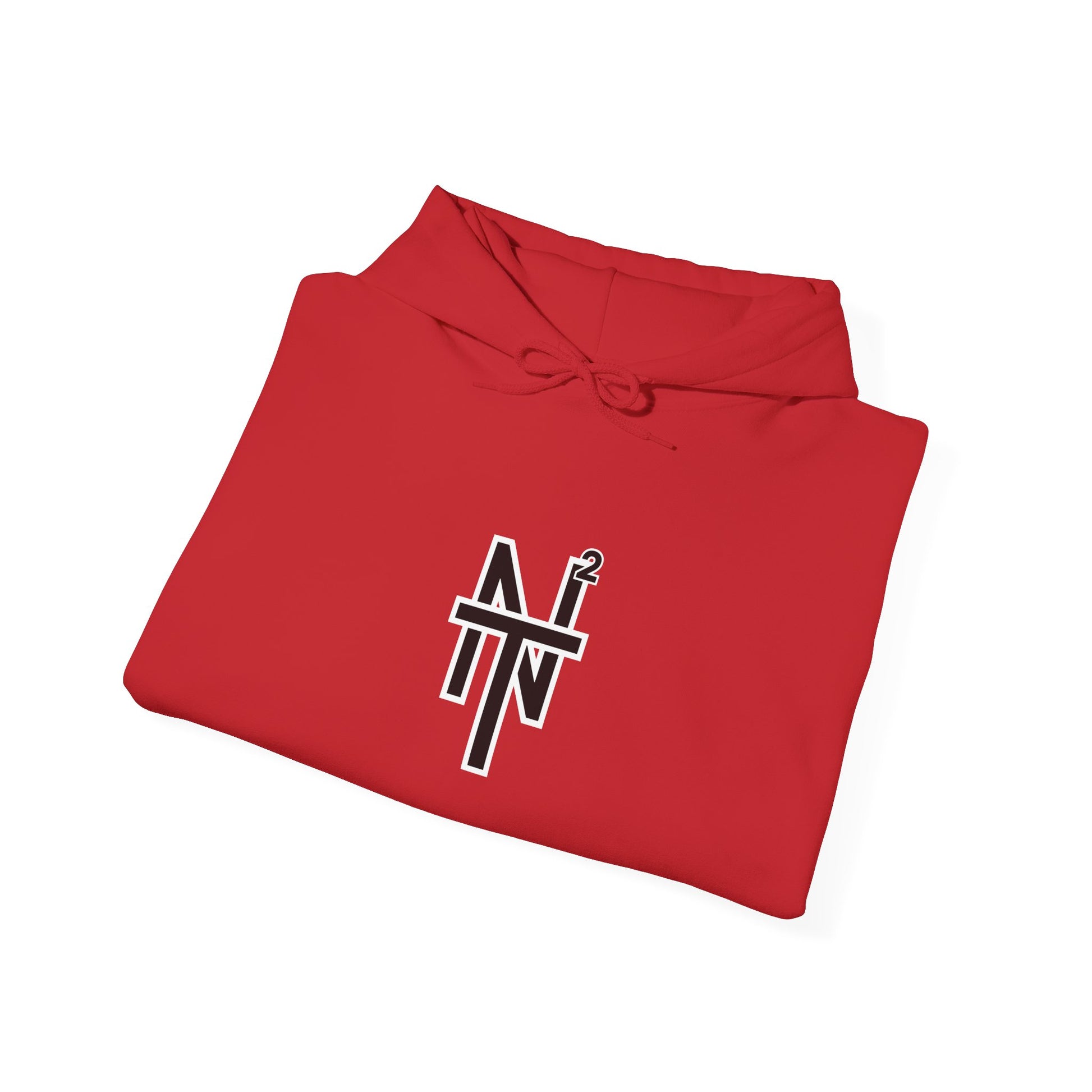 NT2 Hoodie