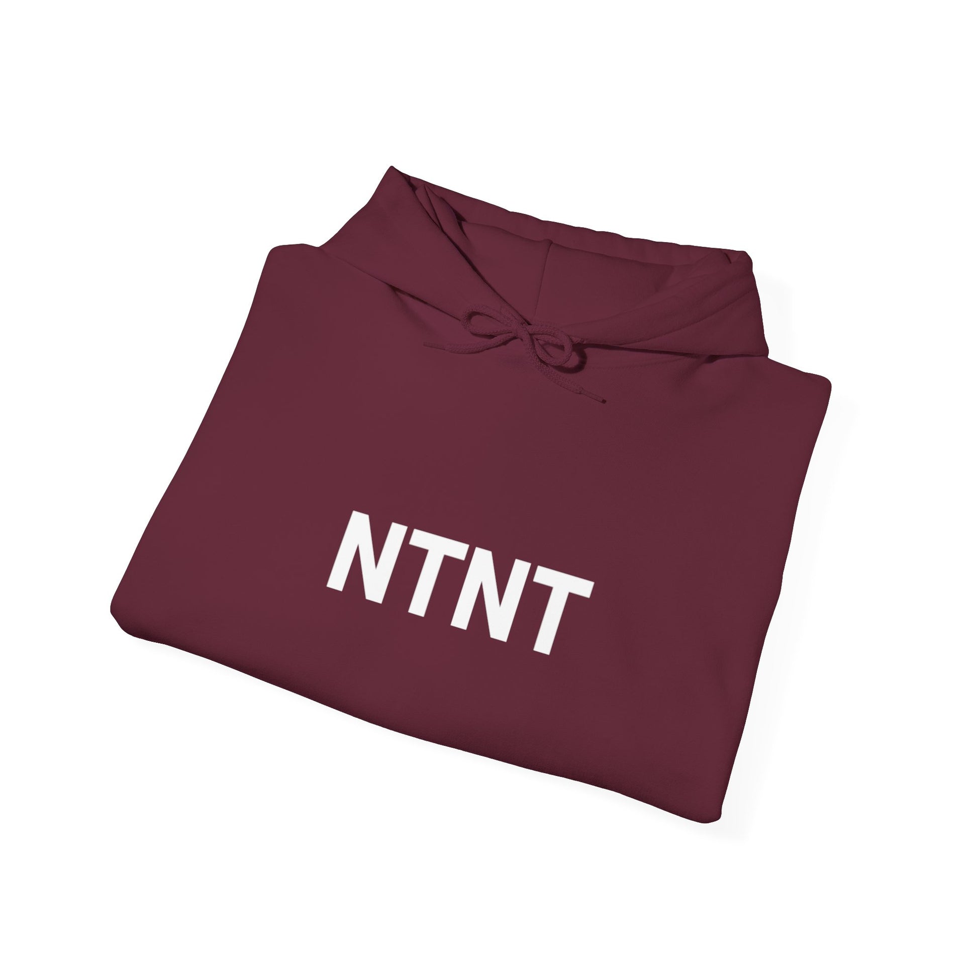 NTNT "TRAIN WITH" HOODIE