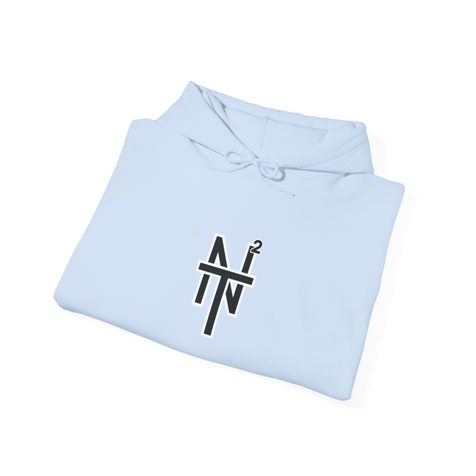 NT2 Hoodie