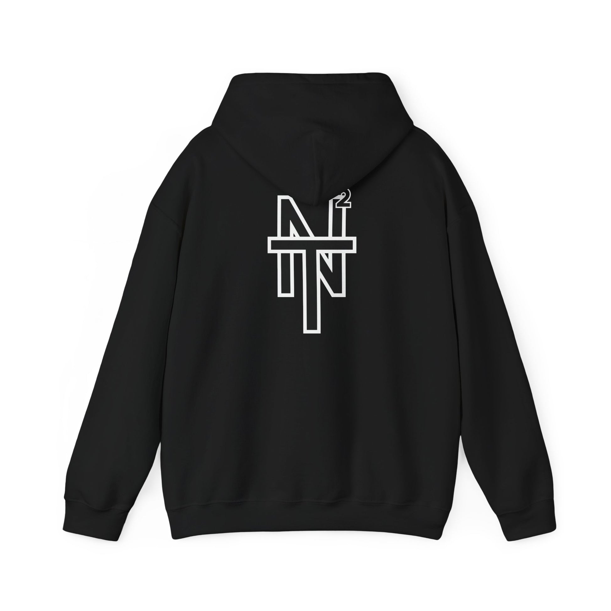 NT2 Hoodie