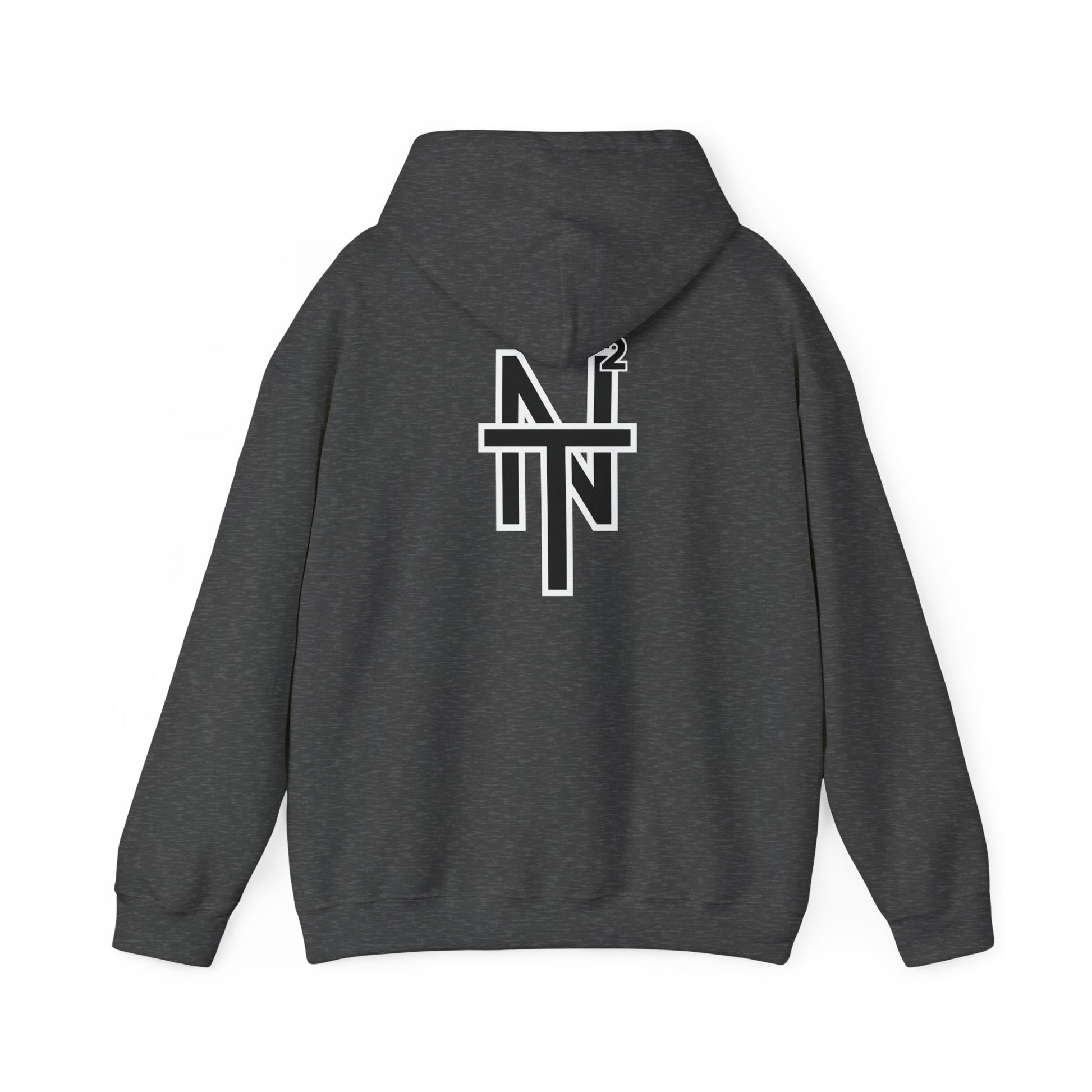 NT2 Hoodie