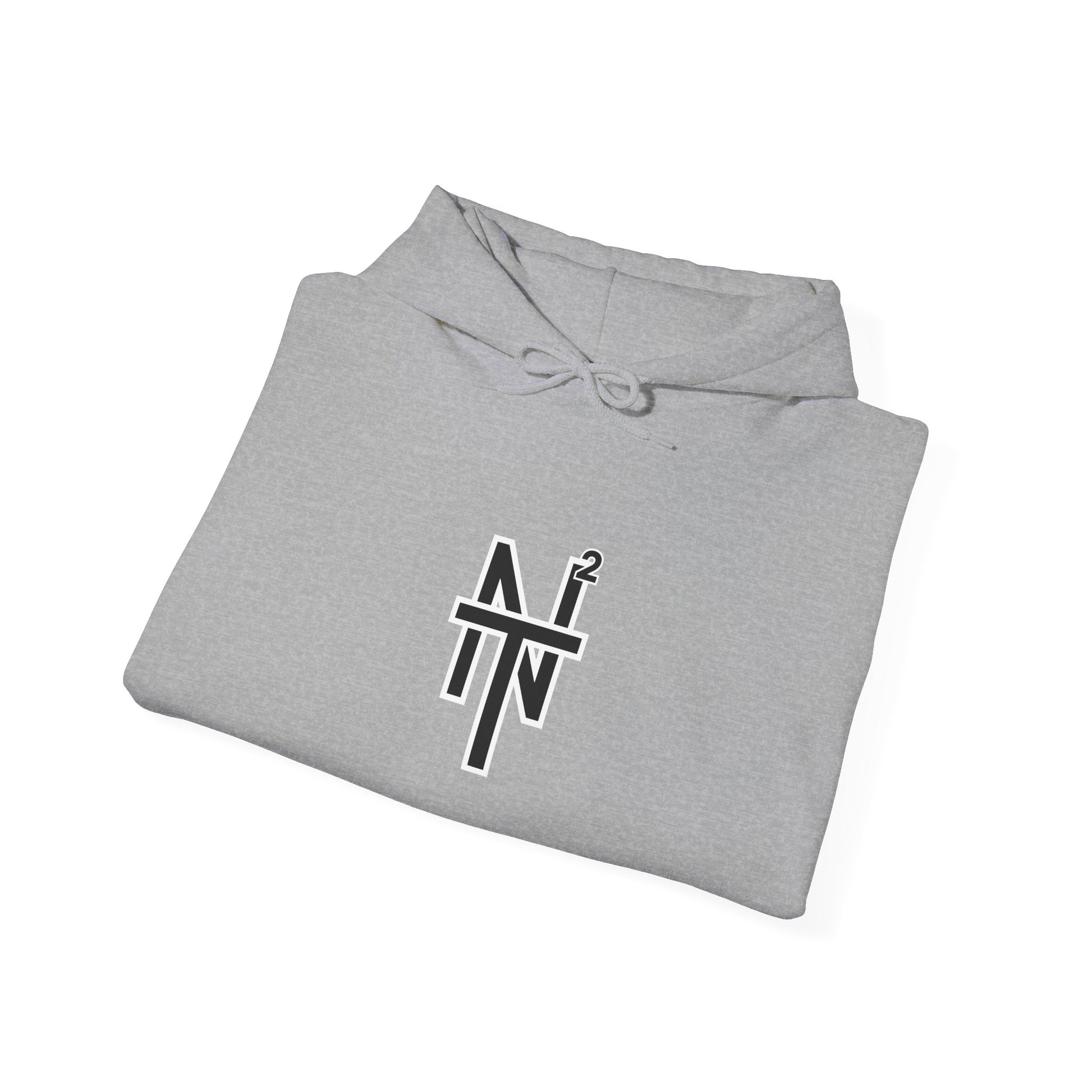 NT2 Hoodie