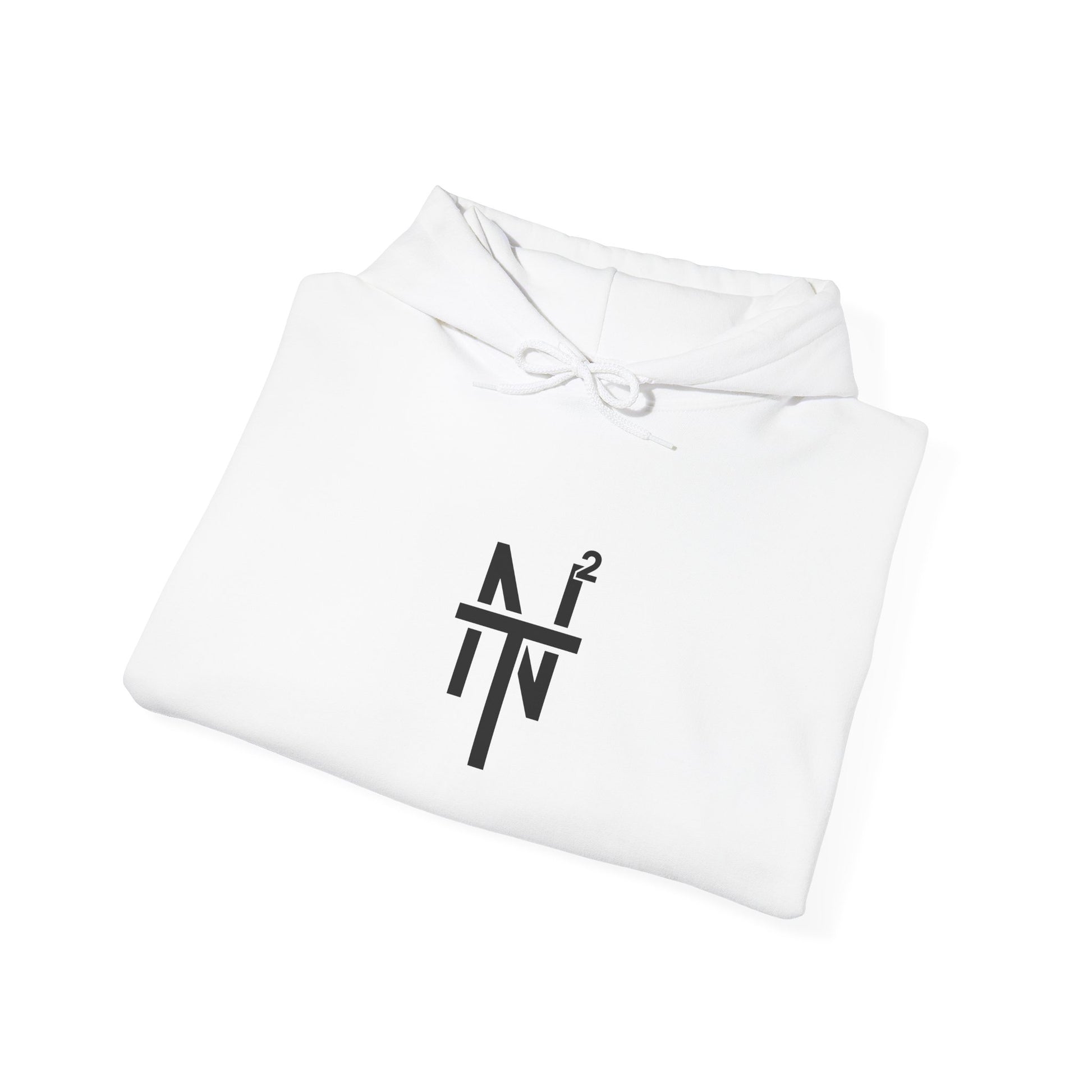 NT2 Hoodie