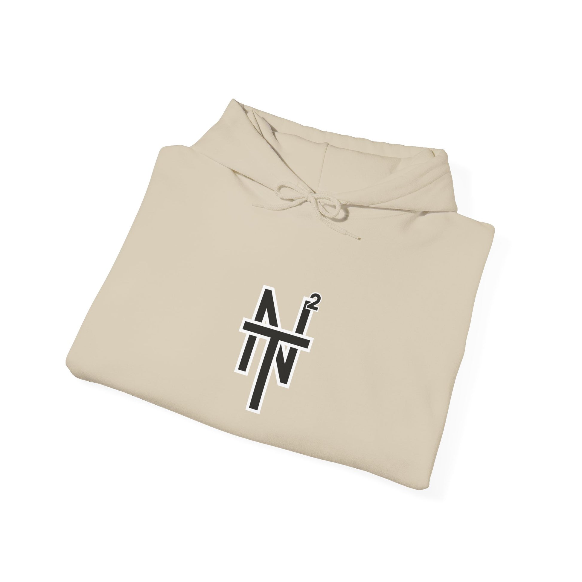 NT2 Hoodie