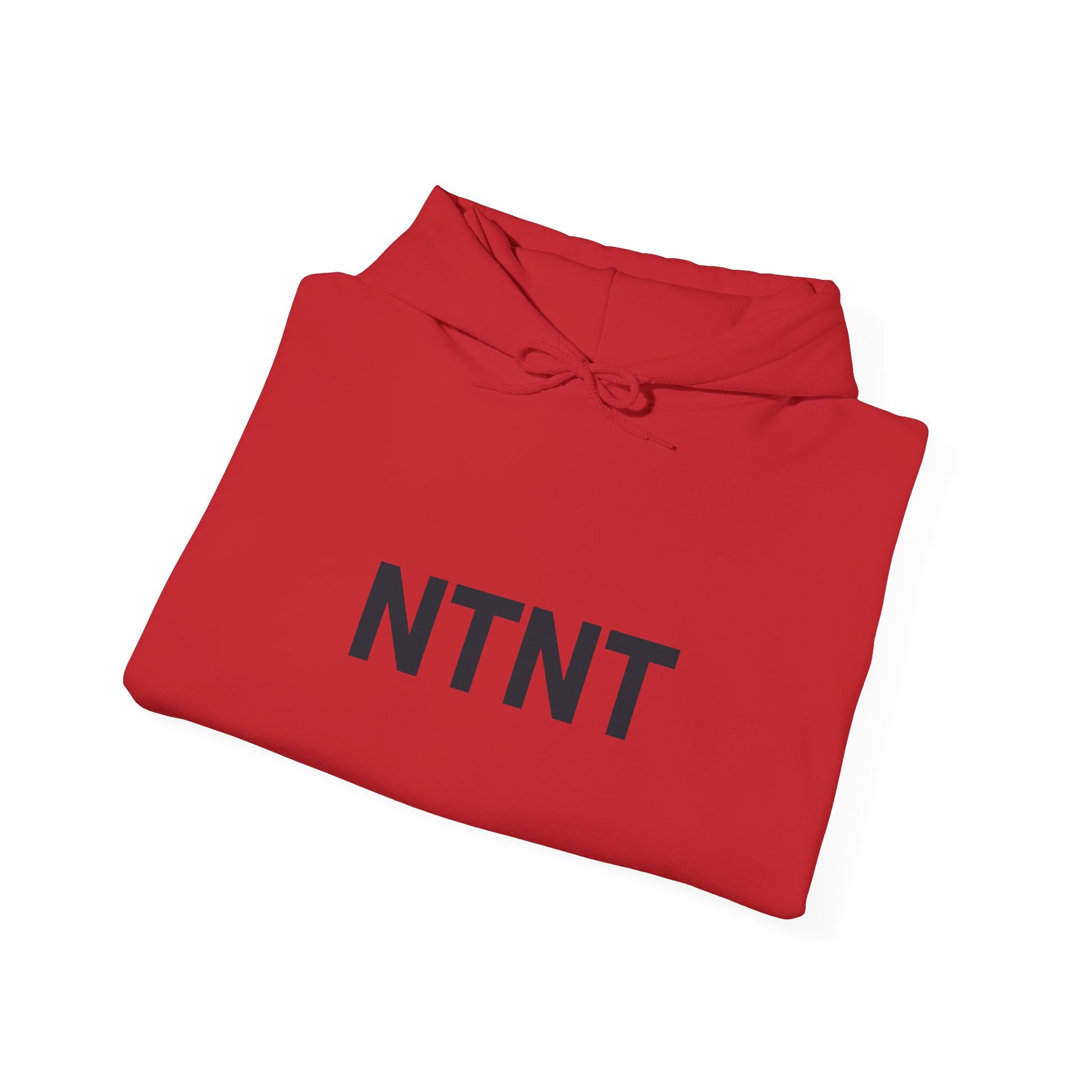 NTNT "TRAIN WITH" HOODIE