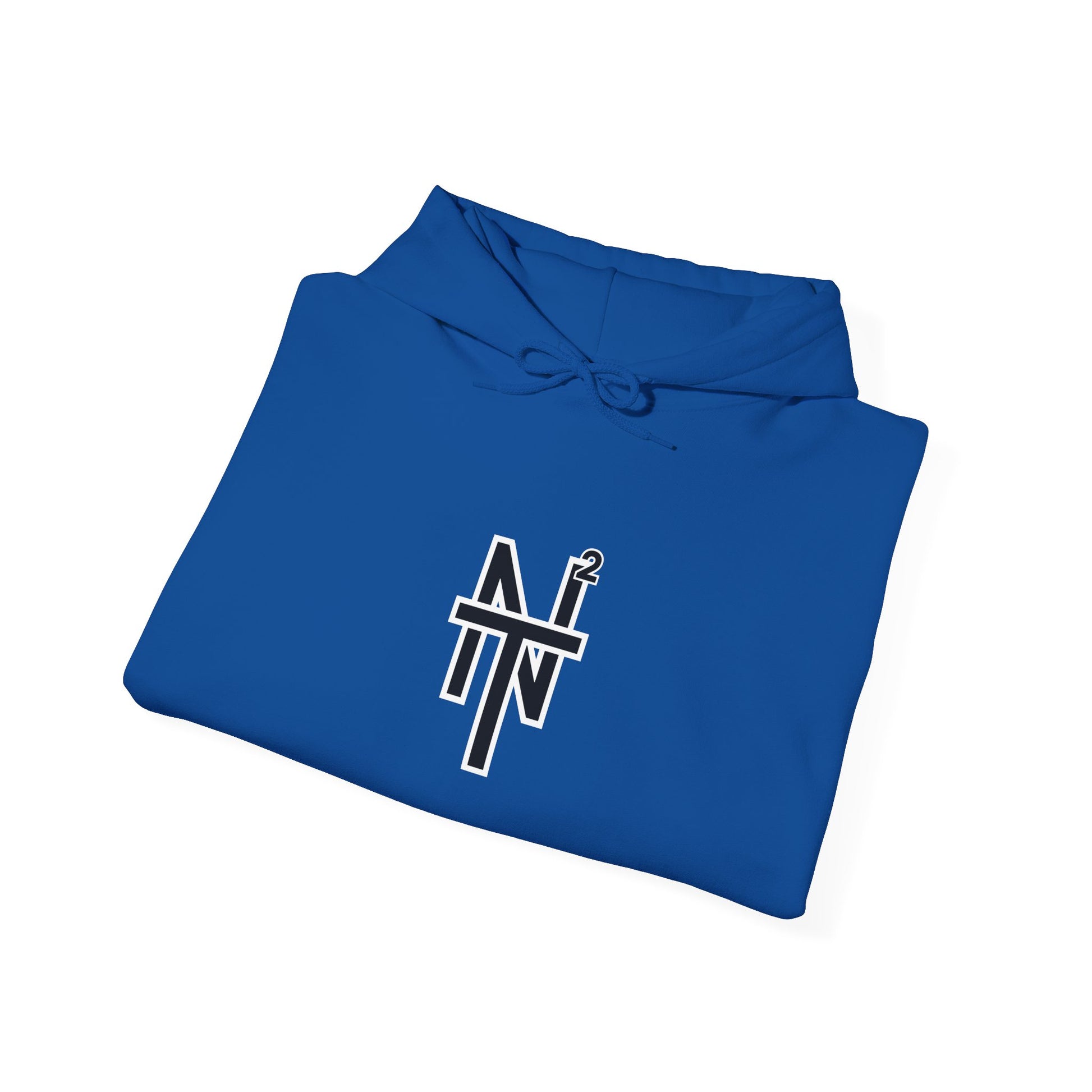 NT2 Hoodie