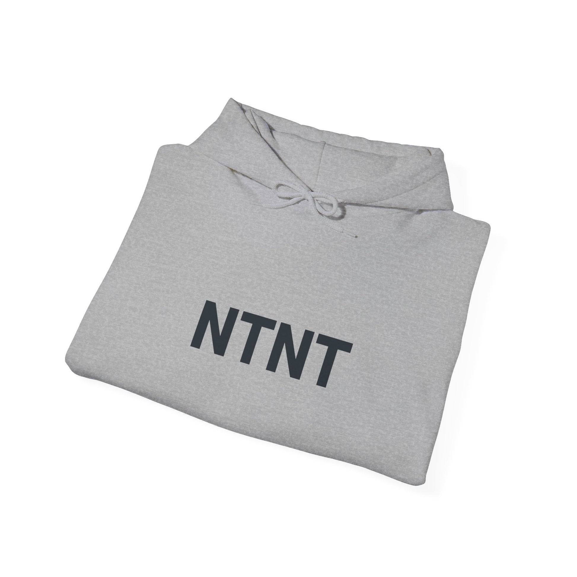 NTNT Classic Hoodie