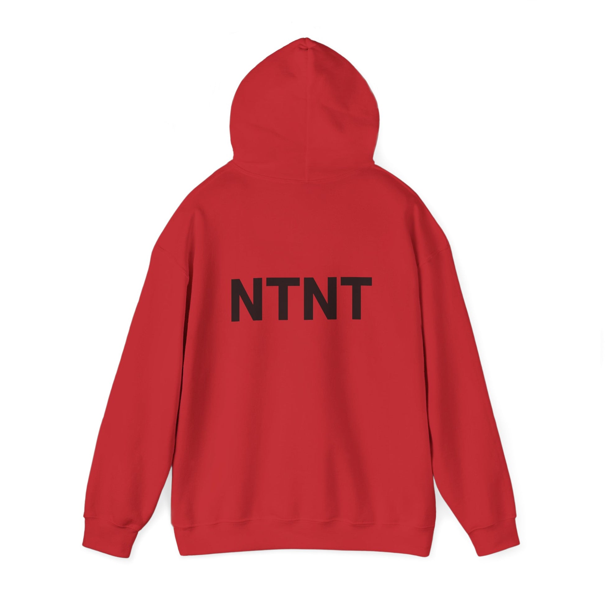 NTNT Classic Hoodie