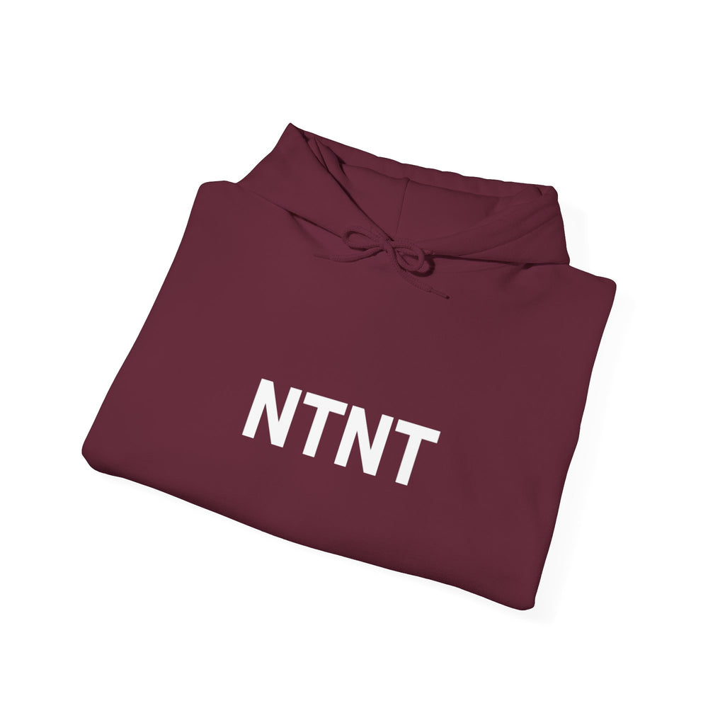 NTNT "TRAIN WITH" HOODIE