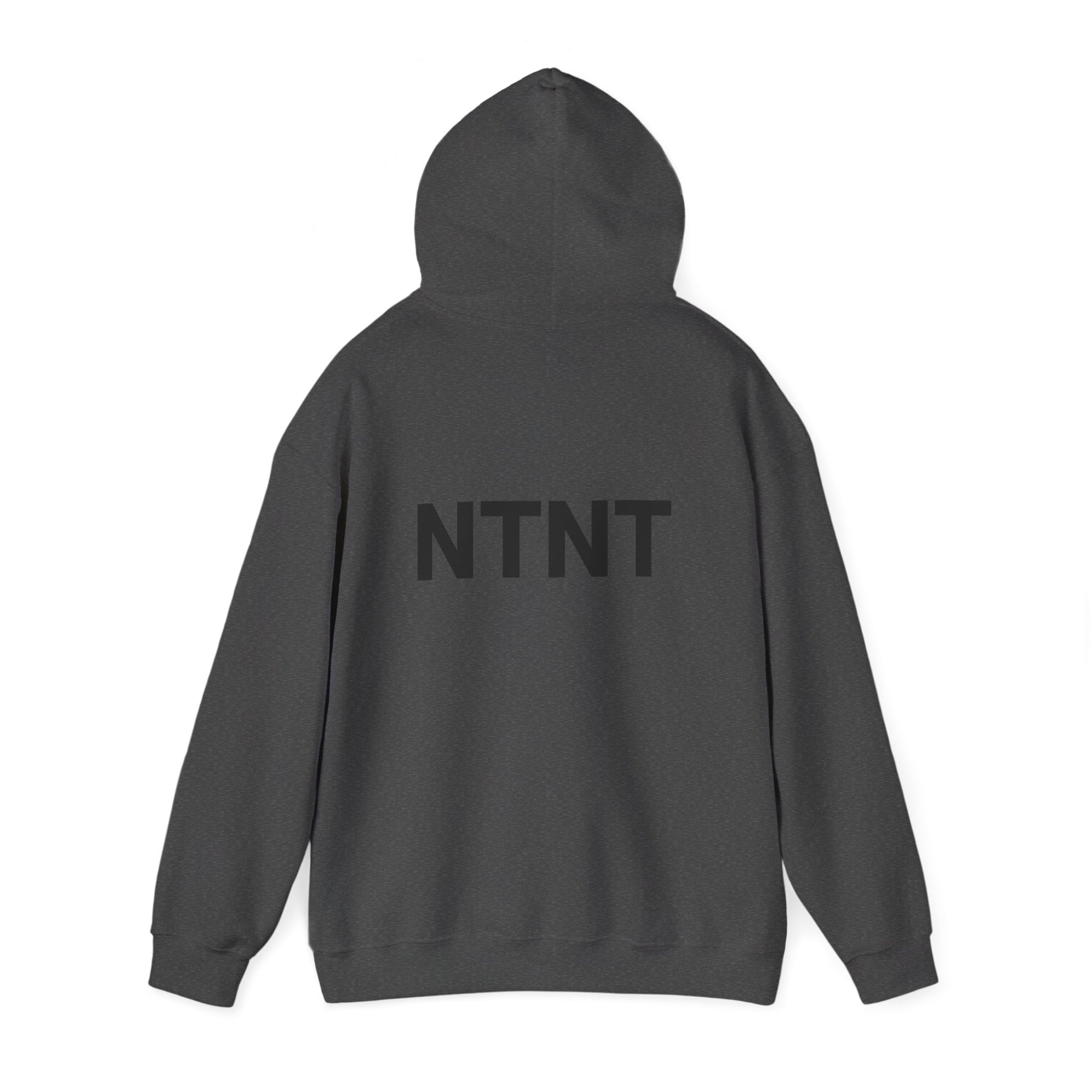NTNT Classic Hoodie