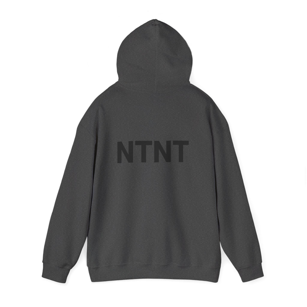 NTNT Classic Hoodie