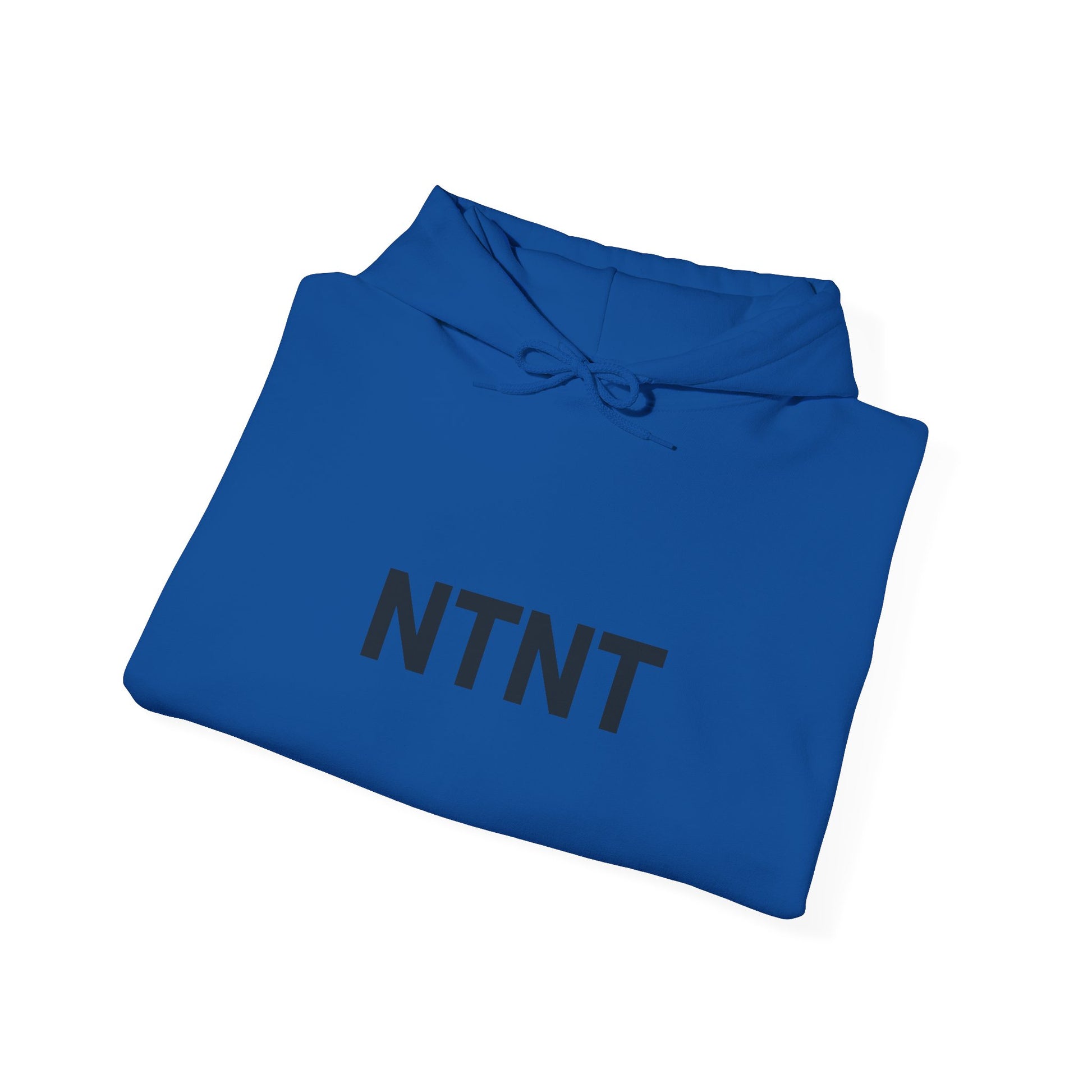NTNT Classic Hoodie