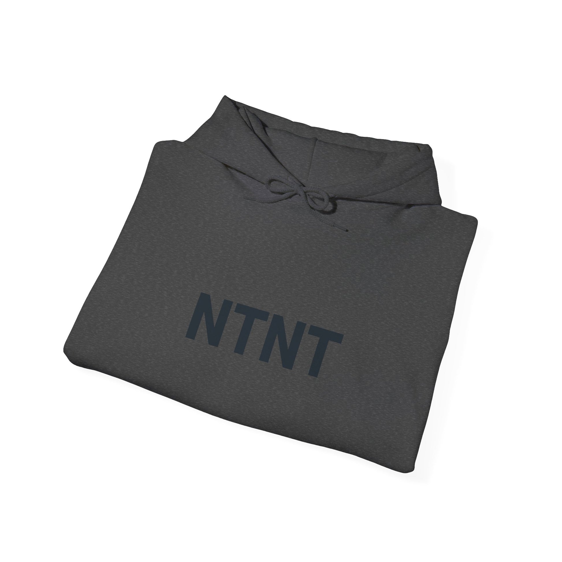 NTNT Classic Hoodie