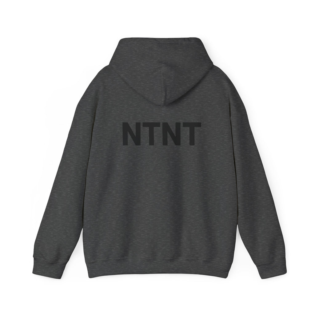 NTNT Classic Hoodie