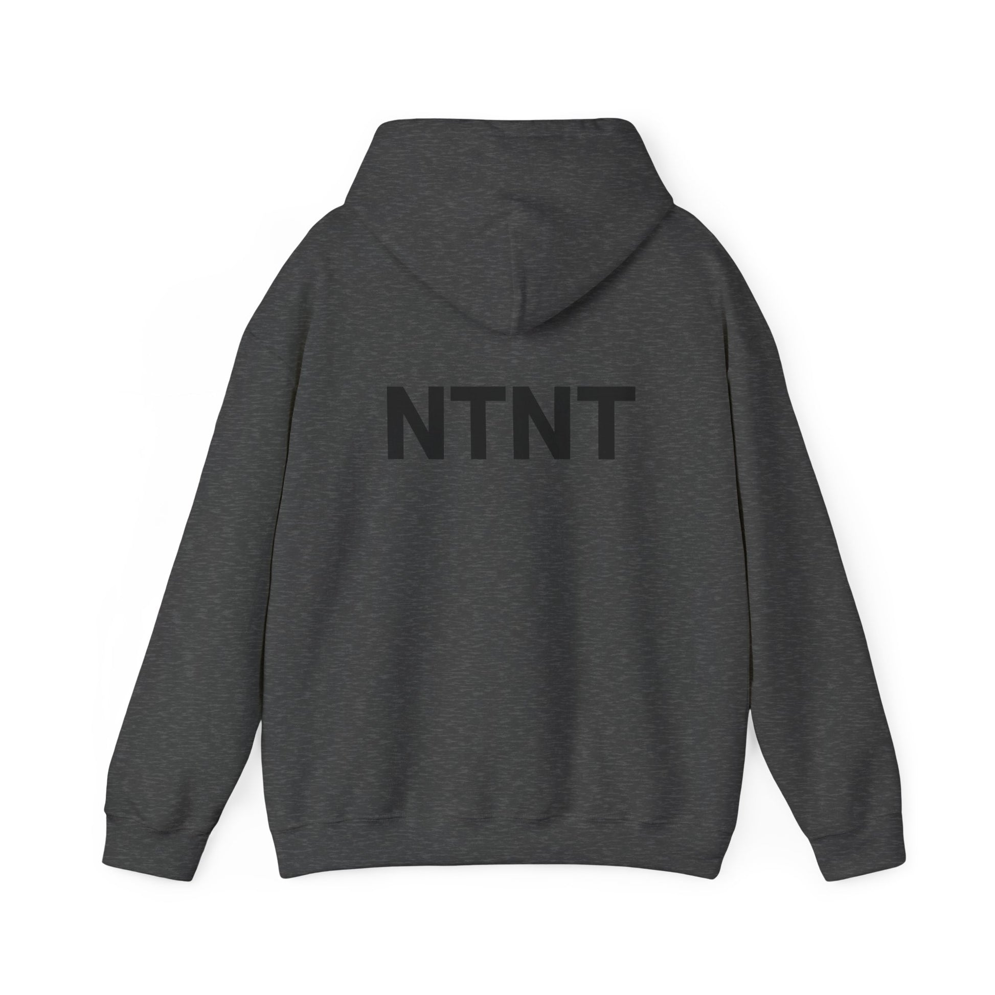 NTNT Classic Hoodie