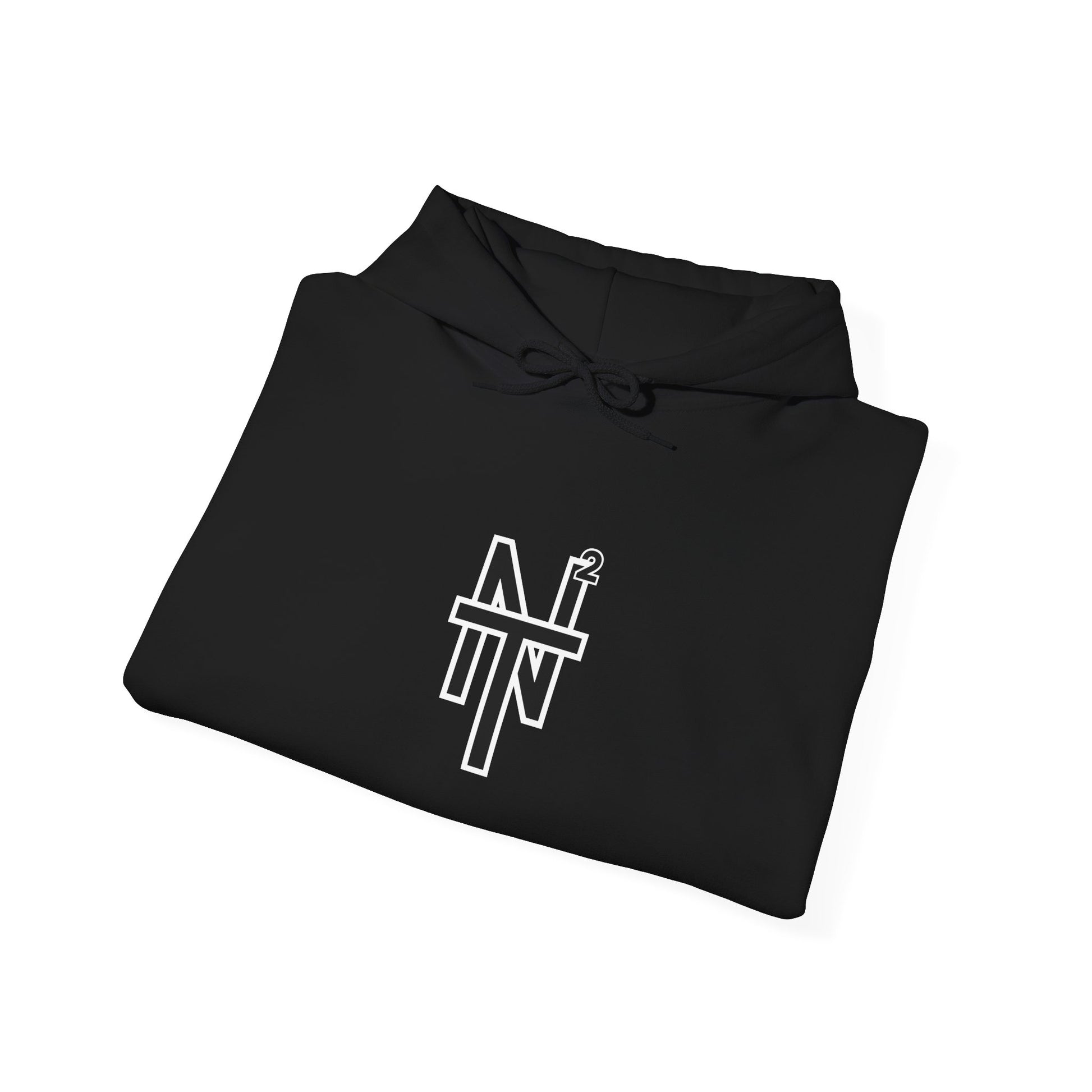NT2 Hoodie