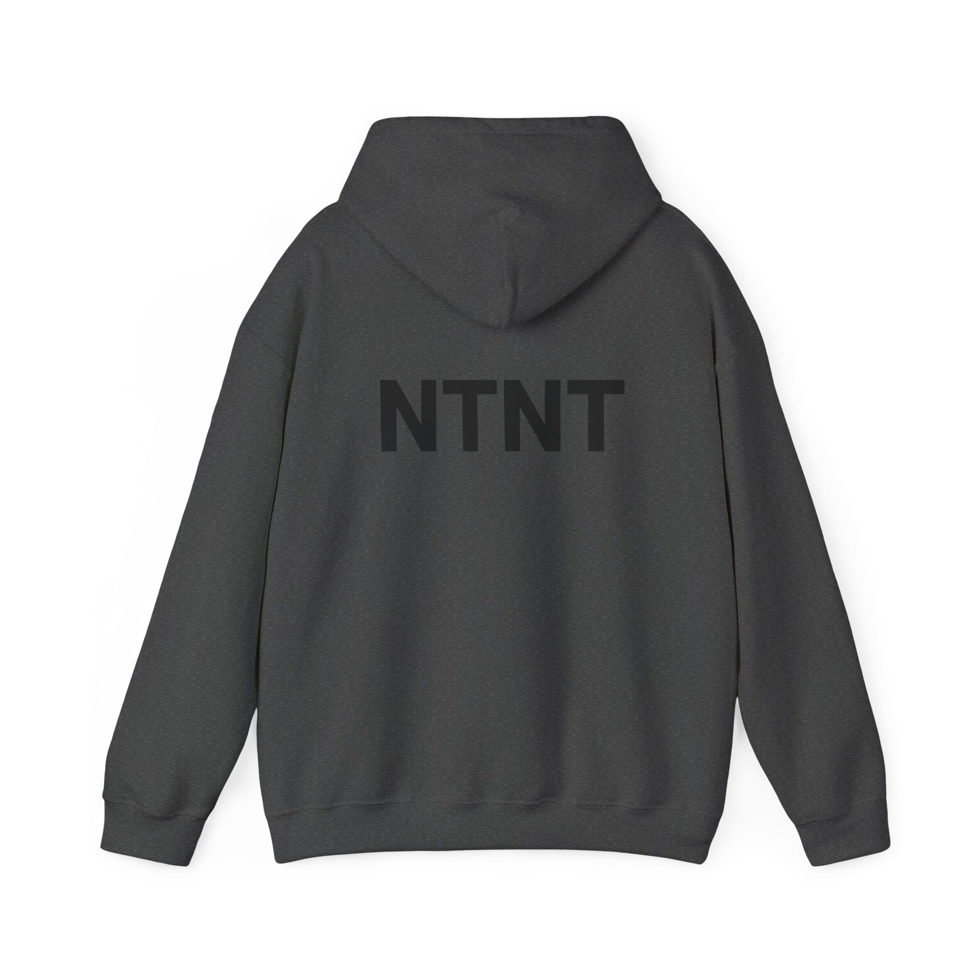 NTNT Classic Hoodie
