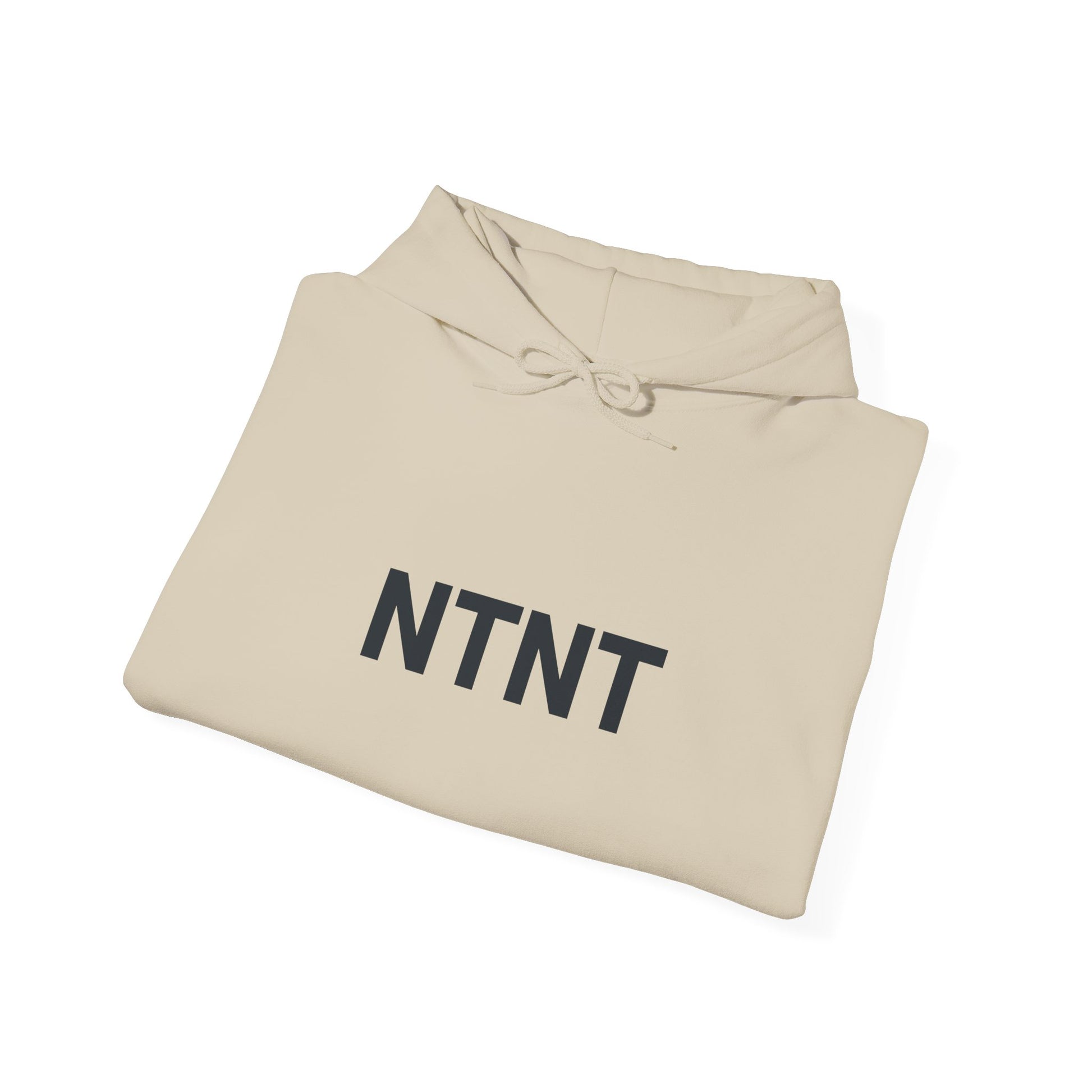 NTNT Classic Hoodie