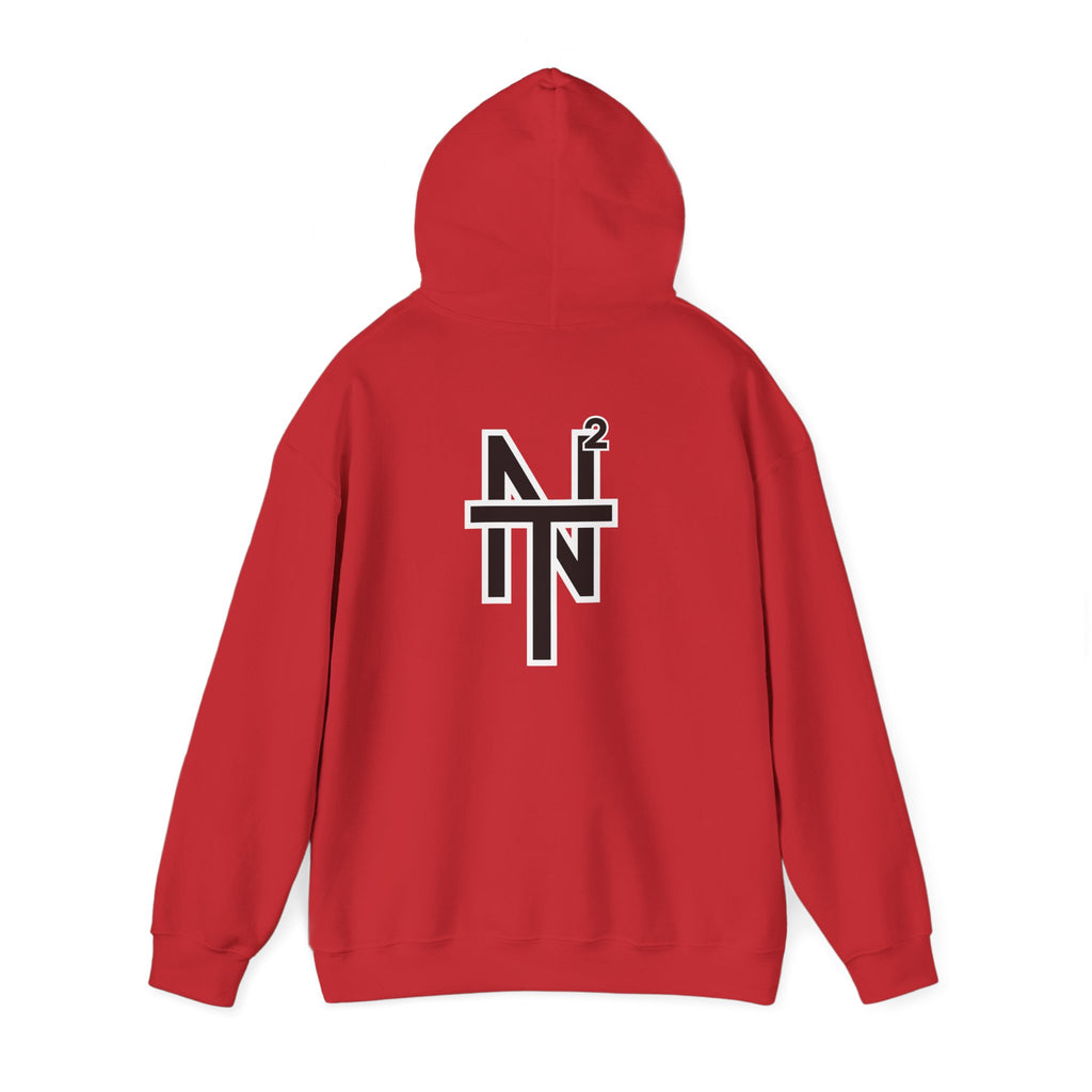NT2 Hoodie
