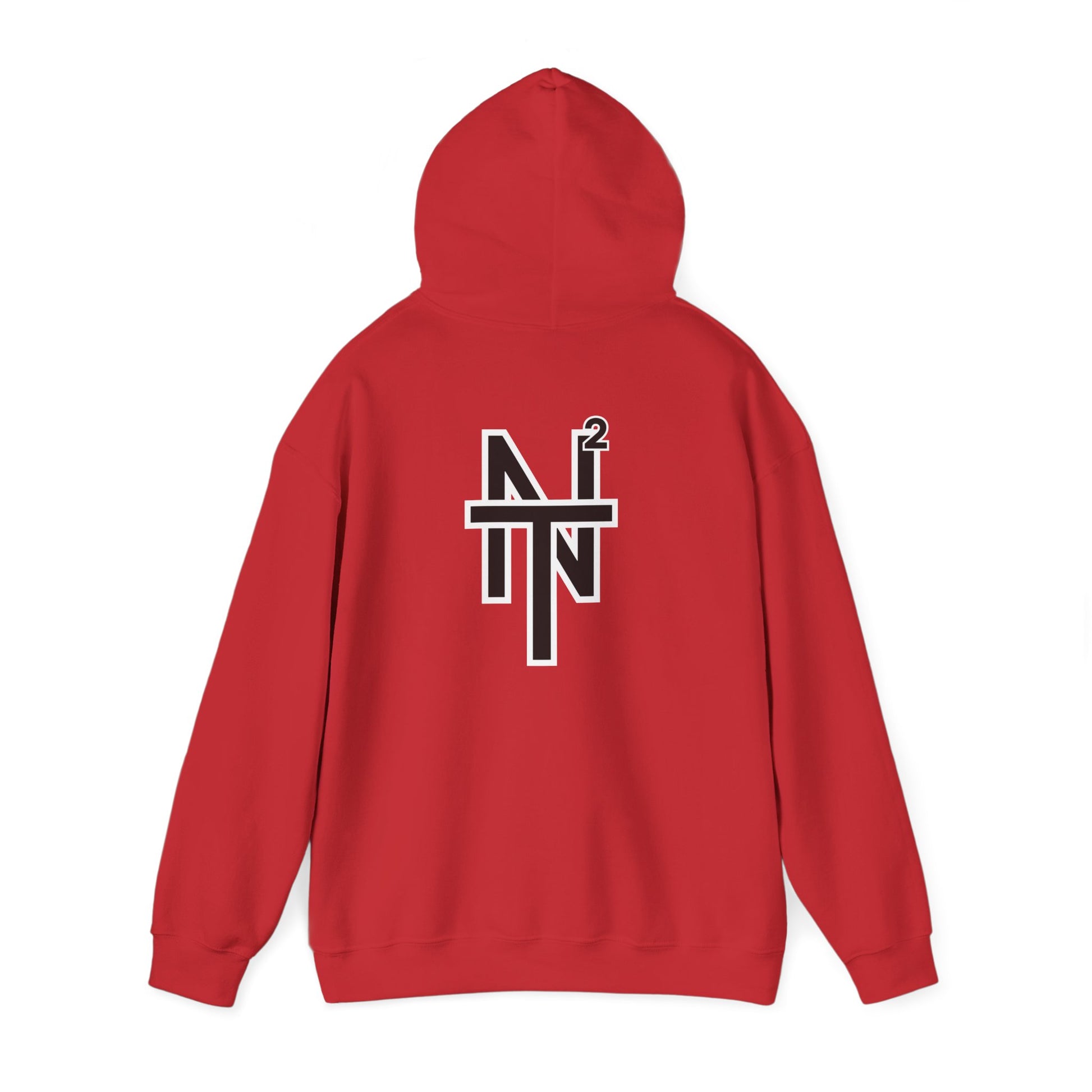 NT2 Hoodie