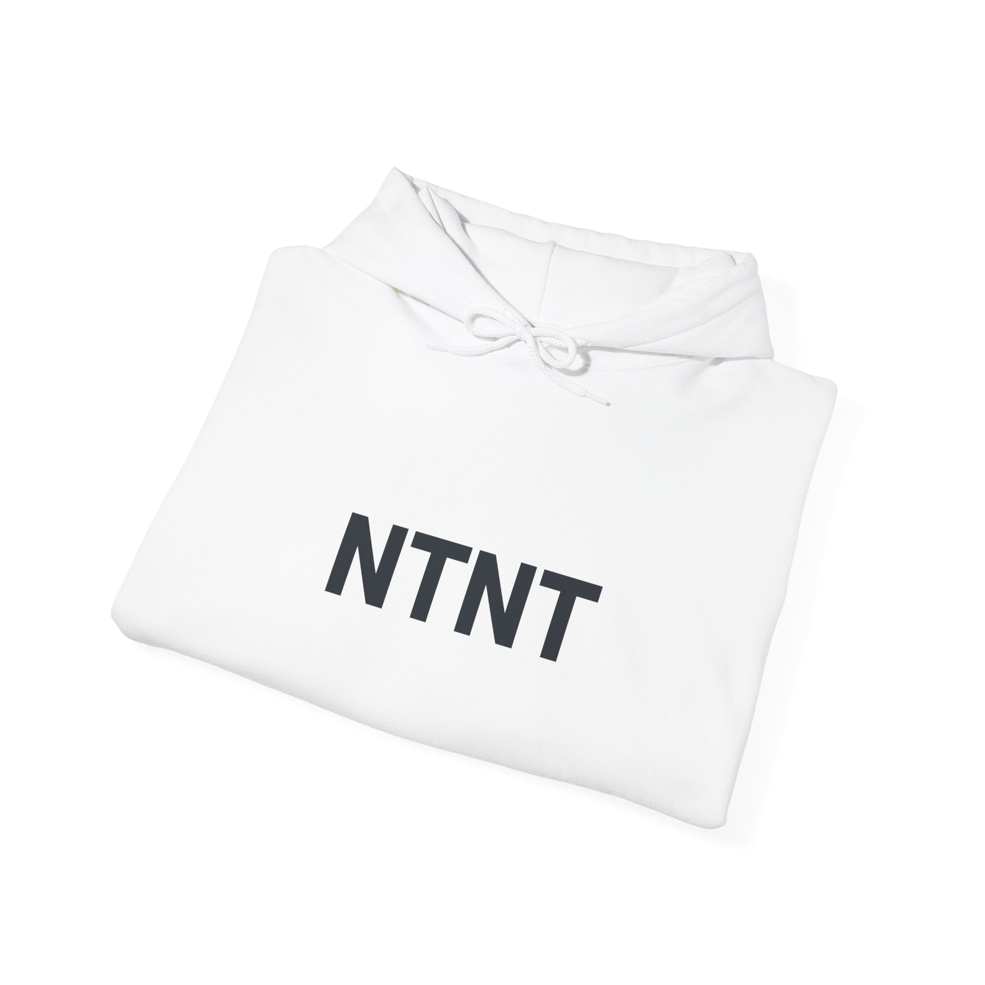 NTNT Classic Hoodie